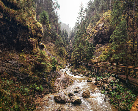 Národný park Malá Fatra krajina