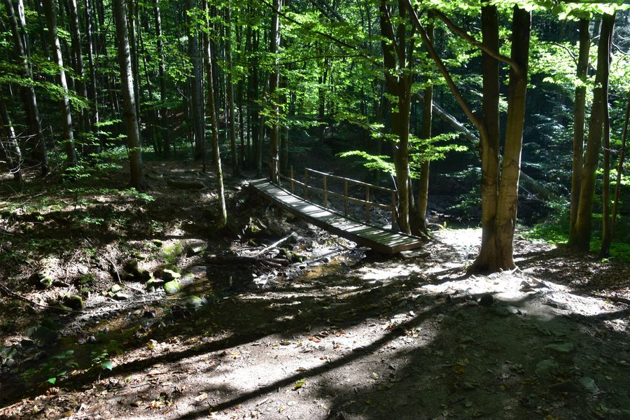 Národný park Poloniny krajina